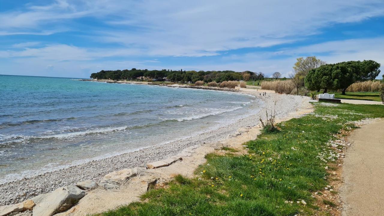 Kivi Apartament Novigrad (Istria)
