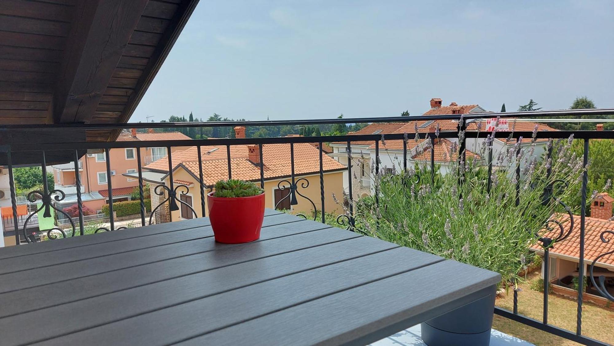 Kivi * Novigrad (Istria)